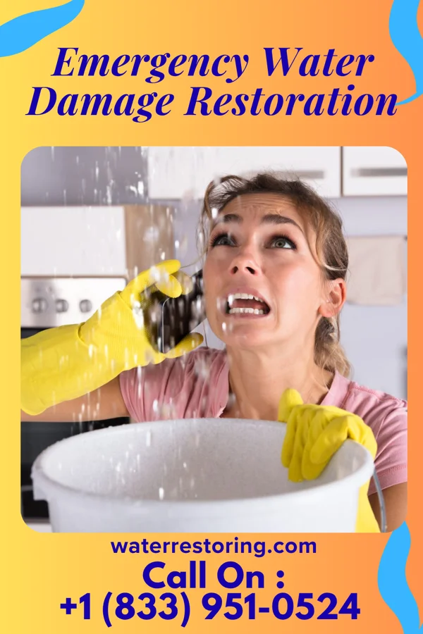 Emergency Water Damage Restoration in Rising Sun, MD