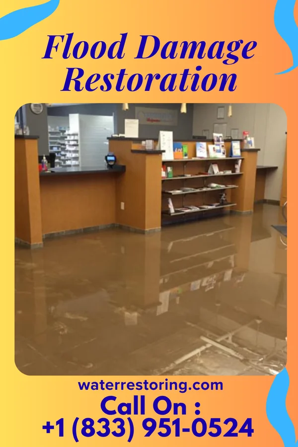 Flood Damage Restoration in Rising Sun, MD