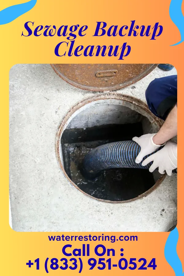 Sewage Backup Cleanup in Rising Sun, MD