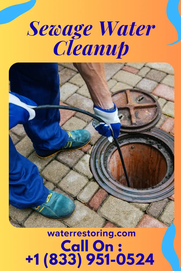 Sewage Water Cleanup in Rising Sun, MD