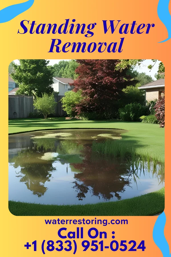 Standing Water Removal in Rising Sun, MD